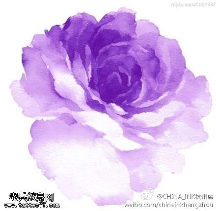 水彩风格玫瑰花文身图片由文身馆分享