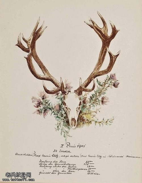 文身秀图吧推荐一幅彩色羚羊文身手稿图片