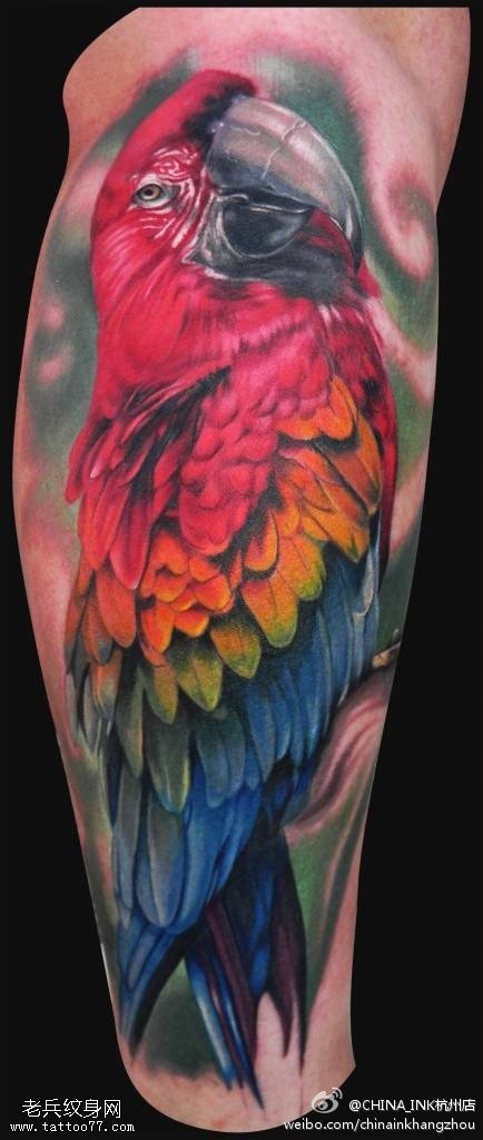 腿部彩色鹦鹉文身文身作品由文身馆分享