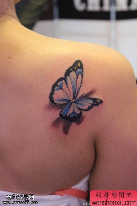 女人肩部彩色3D蝴蝶文身作品
