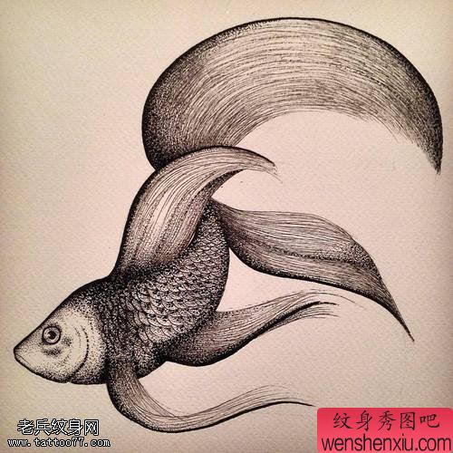 文身秀图吧推荐一幅金鱼文身手稿作品