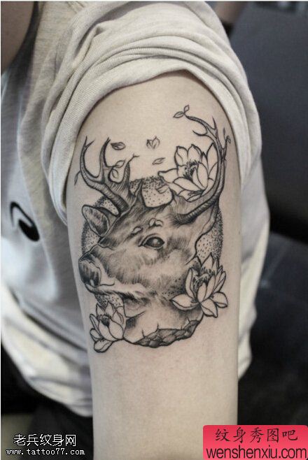 文身秀图吧推荐一幅手臂黑白羚羊文身作品