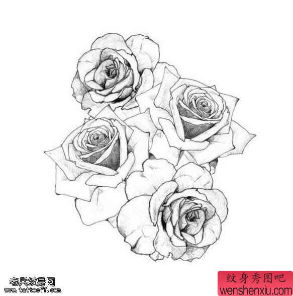 文身秀图吧推荐一幅玫瑰花文身手稿作品