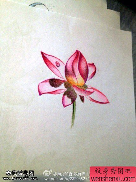 彩色莲花文身作品由文身秀图吧分享