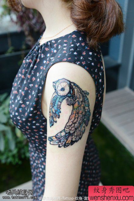 女人手臂彩色猫头鹰文身作品