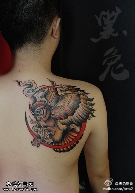 背部彩色创意猫头鹰文身图片由文身分享