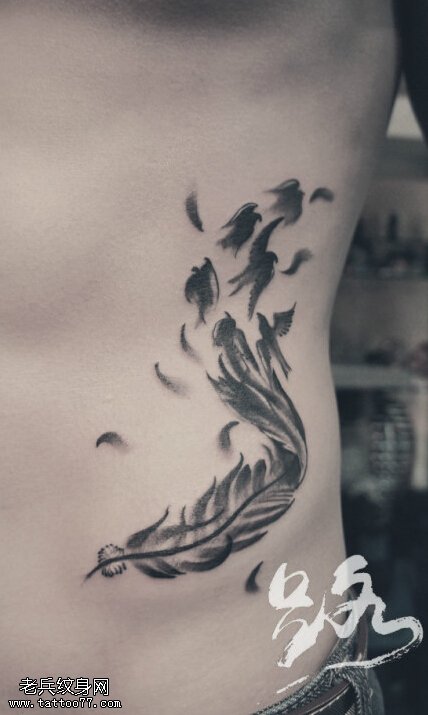 侧腰羽化燕文身图片由最好的文身分享