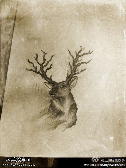 羚羊文身手稿作品由文身馆分享
