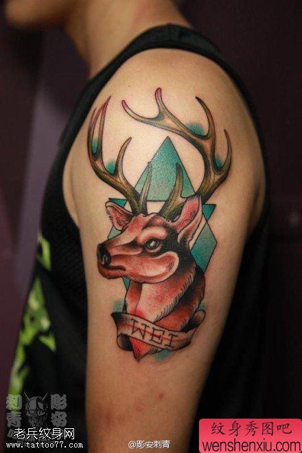 文身秀图吧推荐一幅手臂彩色羚羊文身作品
