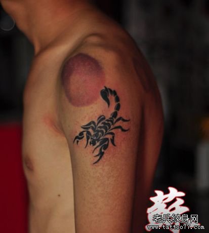 手臂帅气流行的图腾蝎子纹身图案