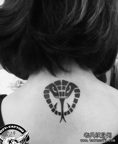 女生背部一款图腾眼镜蛇纹身图案