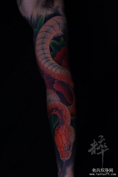 手臂精美的一款彩色蛇与牡丹纹身图案