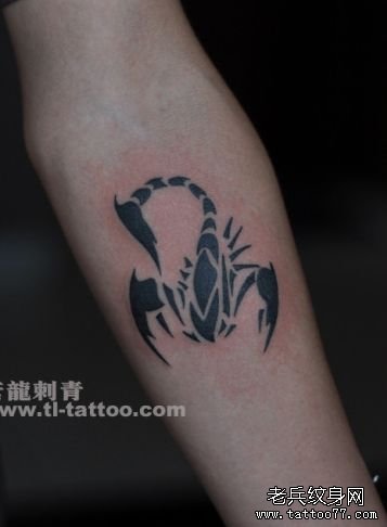 经典流行的手臂图腾蝎子纹身图案