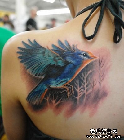 女孩子肩背彩色小鸟纹身图案