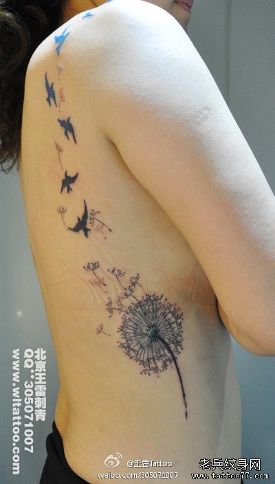 美女侧腰到背部蒲公英与燕子纹身图案