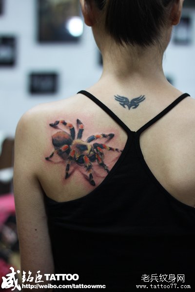 女孩子肩背好看的蜘蛛纹身图案