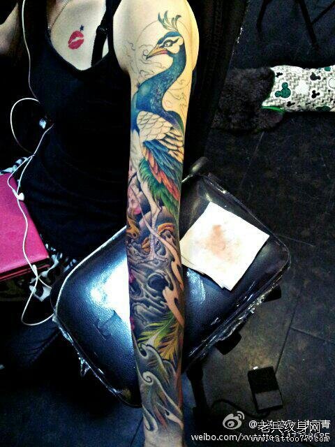 一款彩色凤凰半胛纹身图案