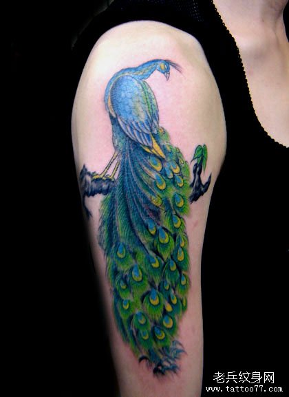 一款手臂彩色凤凰纹身图案