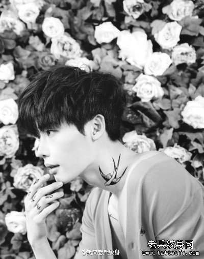 纹身秀图吧推荐一款脖子燕子纹身图案