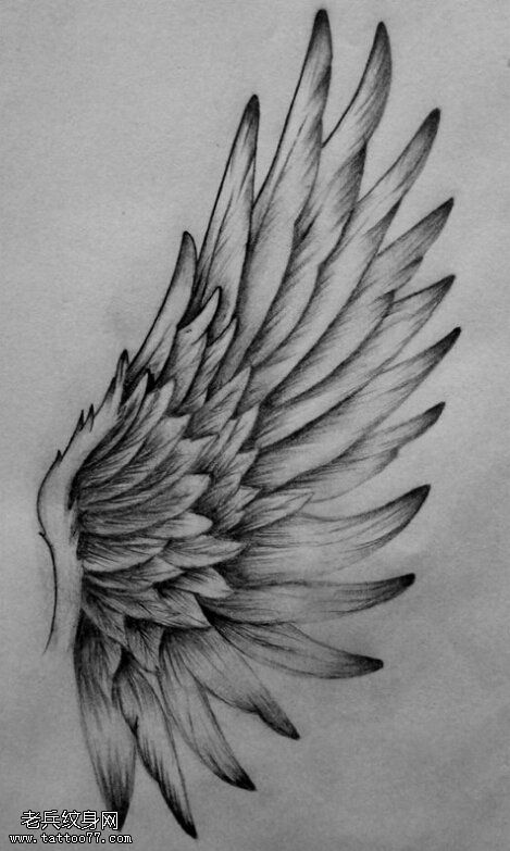 文身秀图吧推荐一幅翅膀文身手稿图片