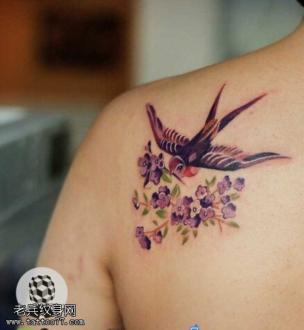 纹身秀图吧推荐一款女性肩部彩色燕子纹身图案