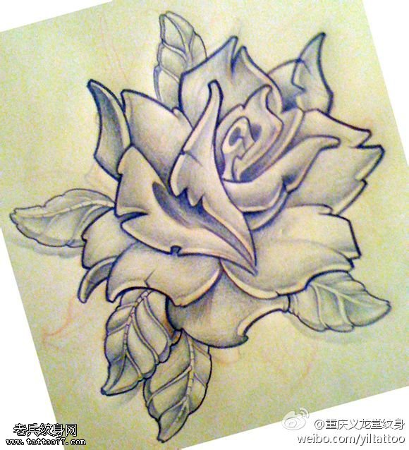 玫瑰花纹身线稿图案由最好的纹身馆提供