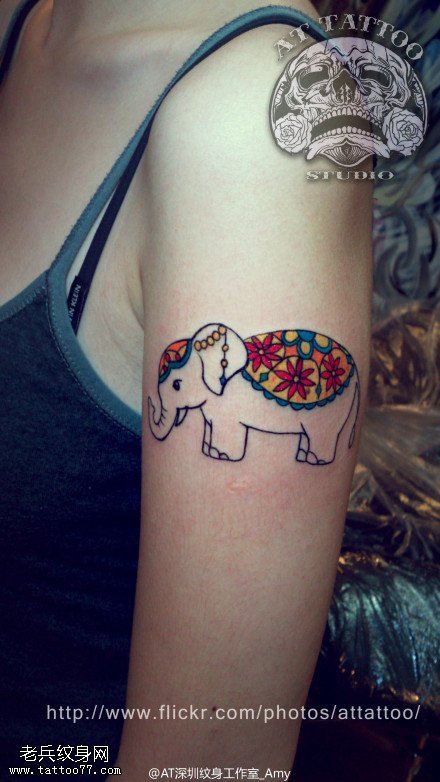 女性手臂彩色象纹身图案由纹身提供