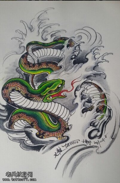 纹身秀图吧推荐一款彩色蛇纹身手稿图案