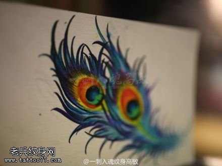 彩色羽毛纹身手稿图片