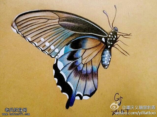 彩色蝴蝶纹身手稿图片由纹身秀图吧提供