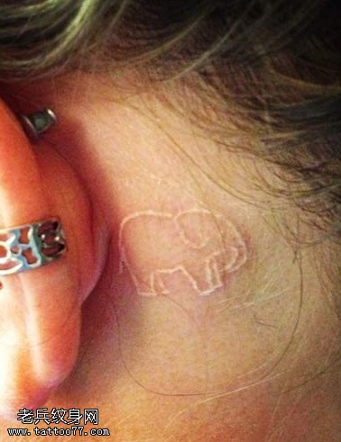 女性耳后白色隐形小象纹身图片