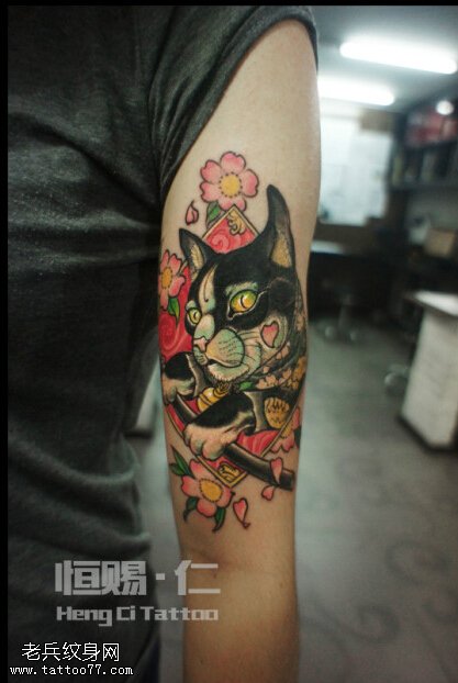 手臂彩色猫咪玫花纹身图片