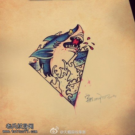 彩色鲨鱼纹身手稿图片