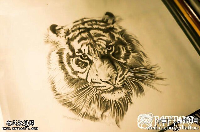 纹身秀图吧推荐一款老虎头纹身手稿图片