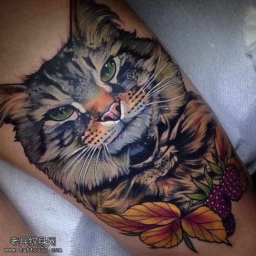 腿部猫咪纹身图案缩略频道推荐图