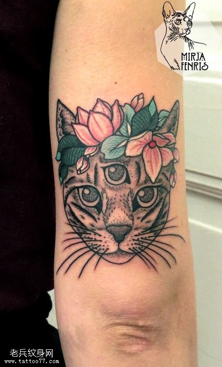 手臂彩色猫咪纹身图片