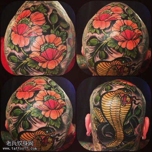 头部个性彩色蛇花纹身图片