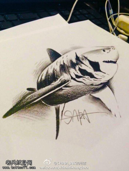 个性鲨鱼纹身手稿图片