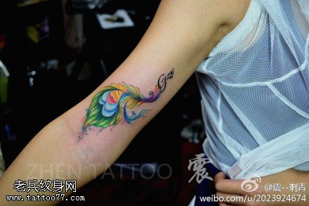 手臂彩色羽毛纹身图案