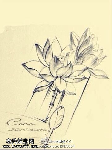 个性黑灰荷花纹身手稿图案