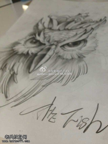 素描猫头鹰纹身手稿图片