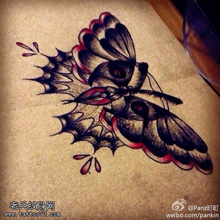 个性彩色蝴蝶纹身手稿图片