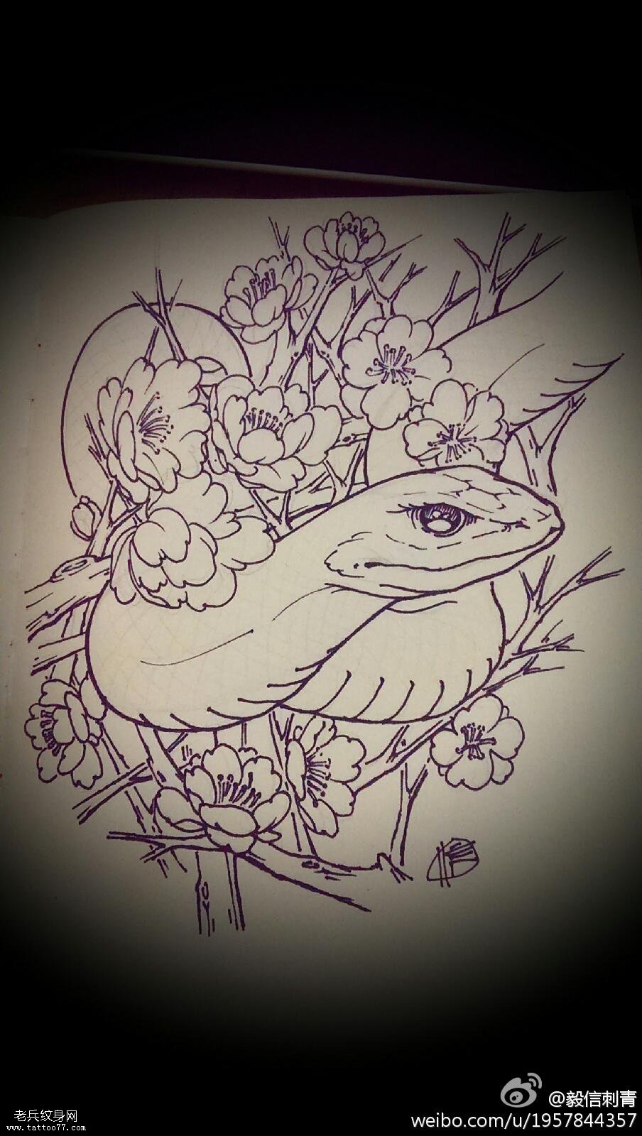 蛇梅花线稿纹身手稿图片