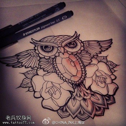 猫头鹰玫瑰花纹身线稿图片