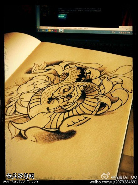 菊花蛇纹身手稿图案