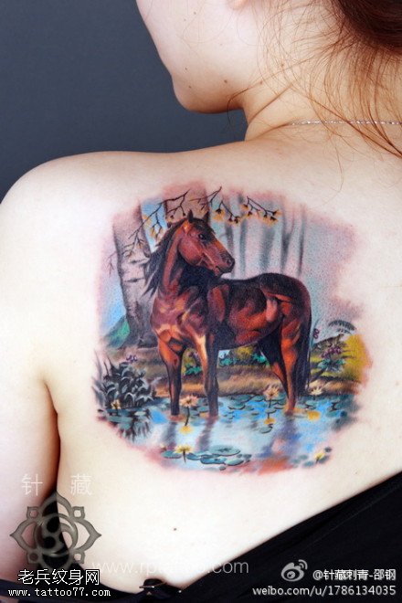 女性背部彩色个性写实马纹身图案