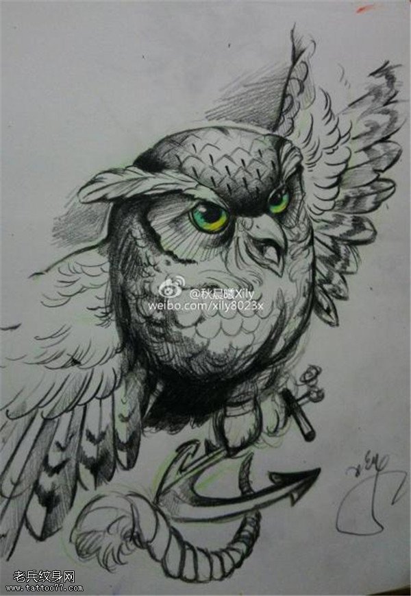 素描黑灰猫头鹰船锚纹身手稿图案