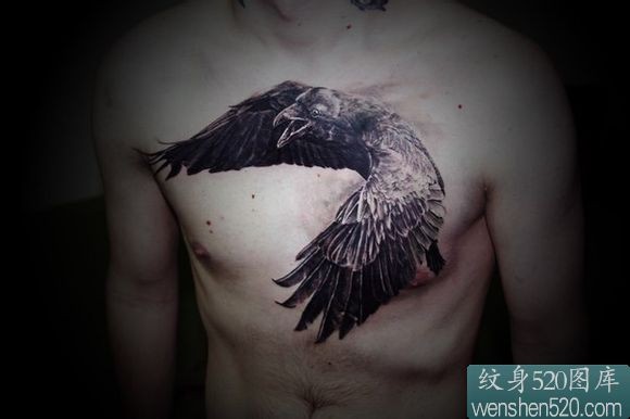 左前胸逼真3d老鹰纹身图案
