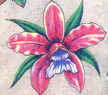 纹身秀图吧:一系列适合女人纹身的百合纹身图案