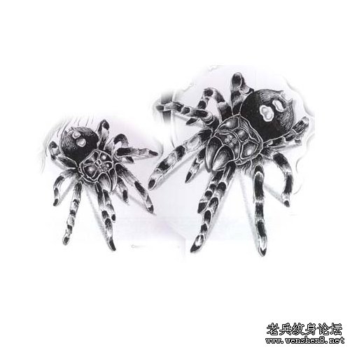 动物纹身图案─蜘蛛纹身图案─黑寡妇